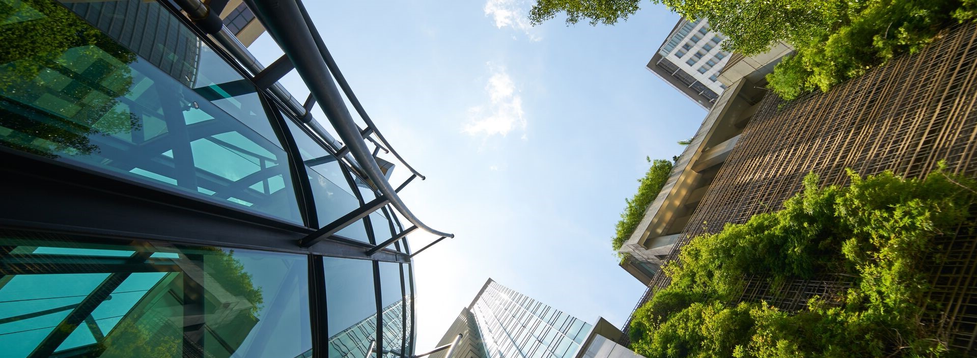 Green Office